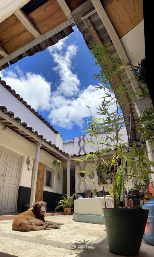 Hostal Posada Mi Casa Сан-Кристобаль-де-Ла-Касас Экстерьер фото